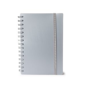 Agenda-Diaria-2025-PRATA-9798-1717016192