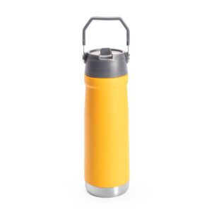 Garrafa Térmica 630ml Personalizada Amarelo | Personalizado com Logo | Personizi