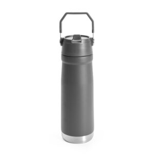 Garrafa Térmica 630ml Personalizada Cinza | Personalizado com Logo | Personizi