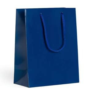 Kit 10uni - Sacola Papel Kraft Premium 15x19x8cm Azul | Personalizado com Logo | Personizi
